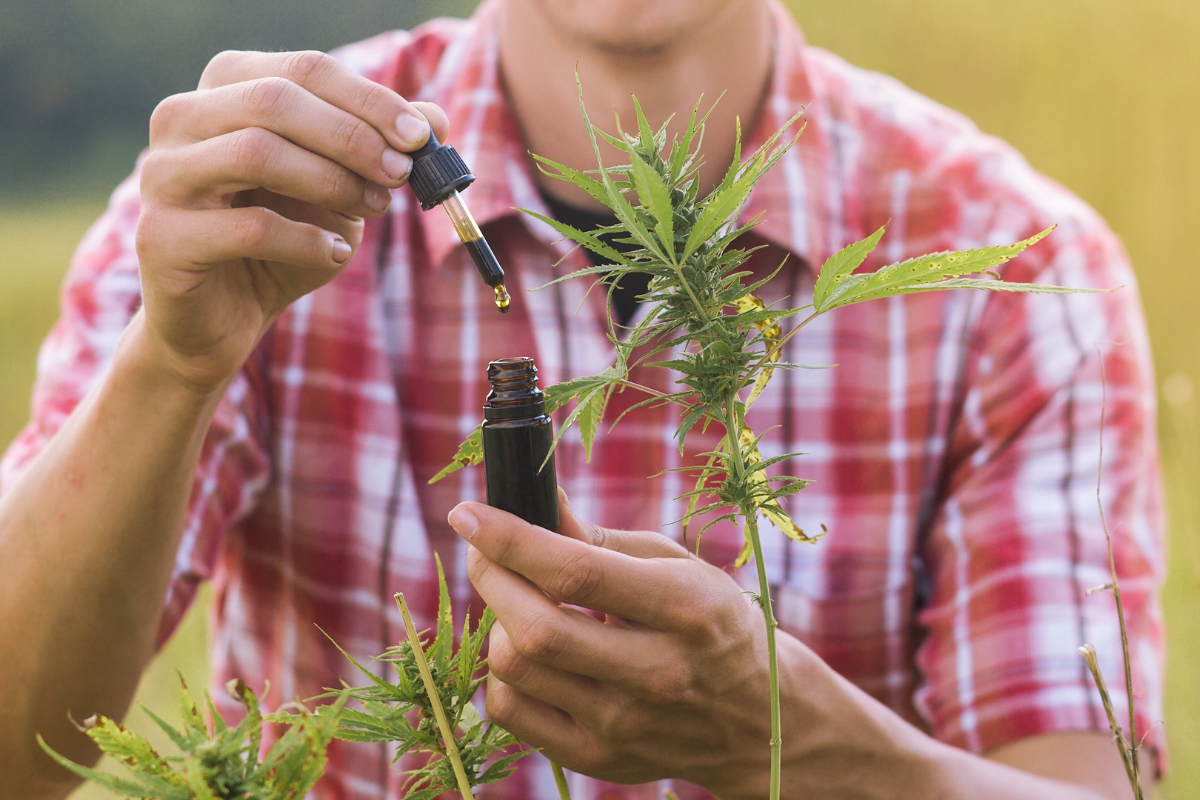 CBD Oil Pros and Cons