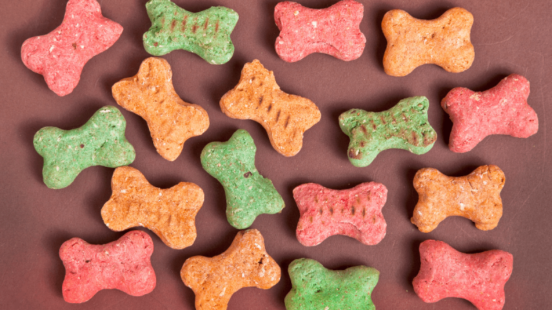 Step-by-step instructions to Choose the Best CBD Dog Treats