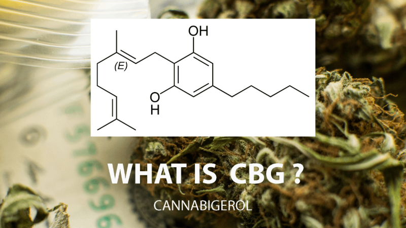 What You Need to Know About CBG Flowers