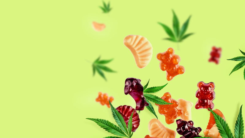 How to Choose The Best THC-O Gummies