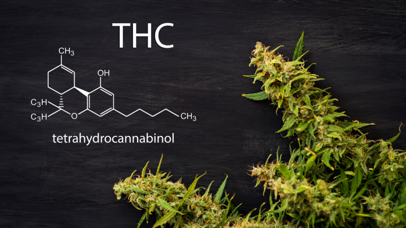 What is Delta 8 THC and how does it work?