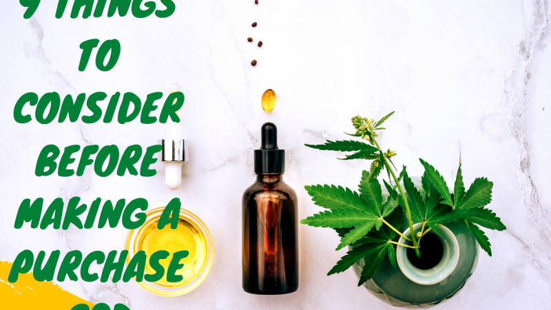 9 Things to Consider Before Making a Purchase CBD