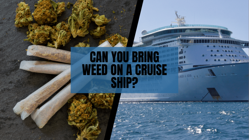 Can You Bring Weed on a Cruise Ship?