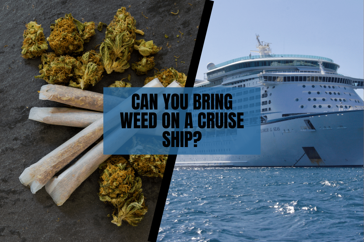 Can You Bring Weed on a Cruise Ship?
