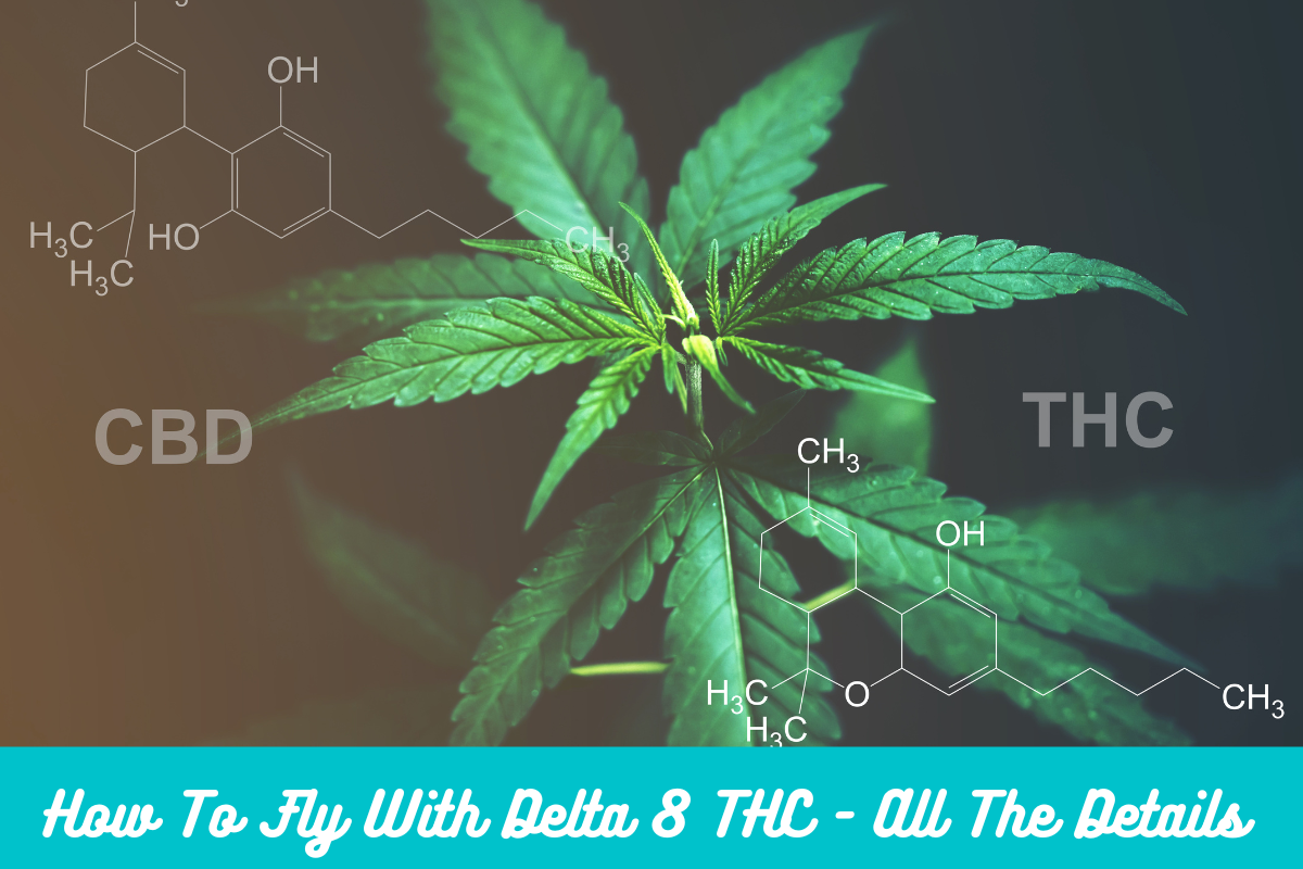 How To Fly With Delta 8 THC – All The Details
