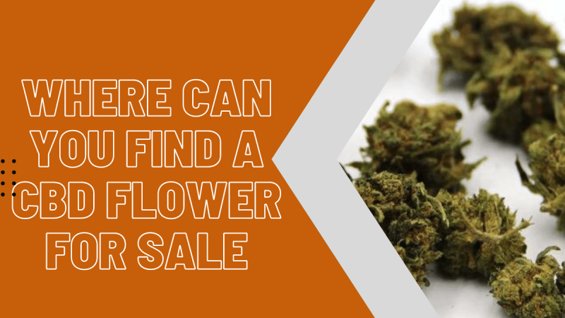 Where Can You Find a CBD Flower for Sale
