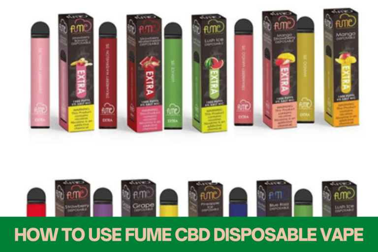 Mastering the Fume CBD Disposable Vape: A Complete User’s Guide 2023