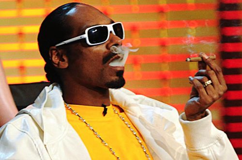 How Much Weed Does Snoop Dogg Smoke