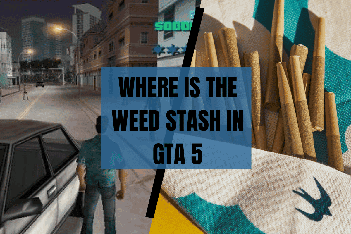 Where Is the Weed Stash in GTA 5