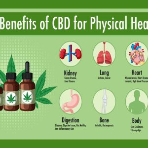 Understanding the Benefits of Having a Medical Marijuana Card