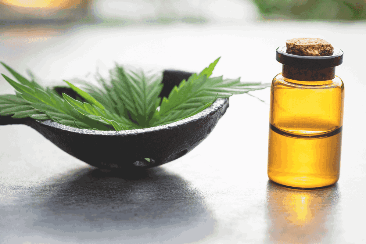 Pros and Cons of CBD Oil for Pain