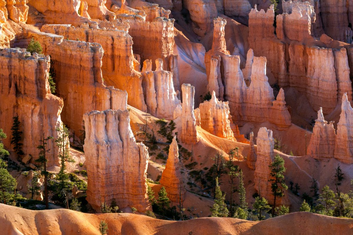 Must-See Attractions in Utah for Adventure Seekers