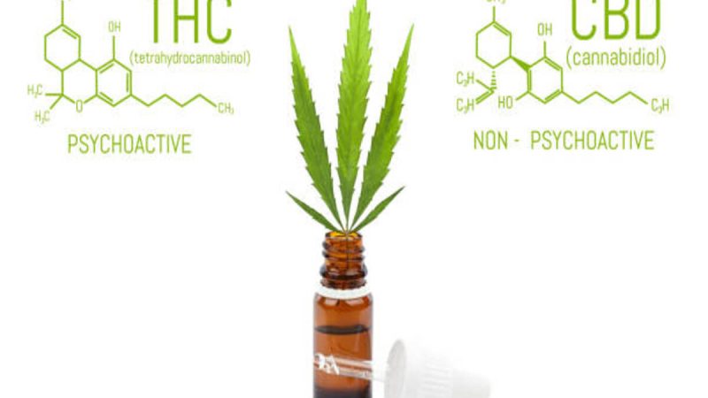 THC Vs. CBD Vs. Weed: A Guide