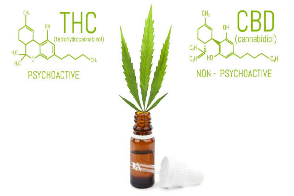 THC Vs. CBD Vs. Weed: A Guide