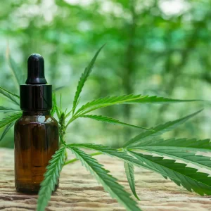 Why More People Are Choosing to Order CBD Flower Over Other CBD Products