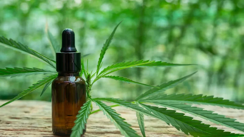 Why More People Are Choosing to Order CBD Flower Over Other CBD Products