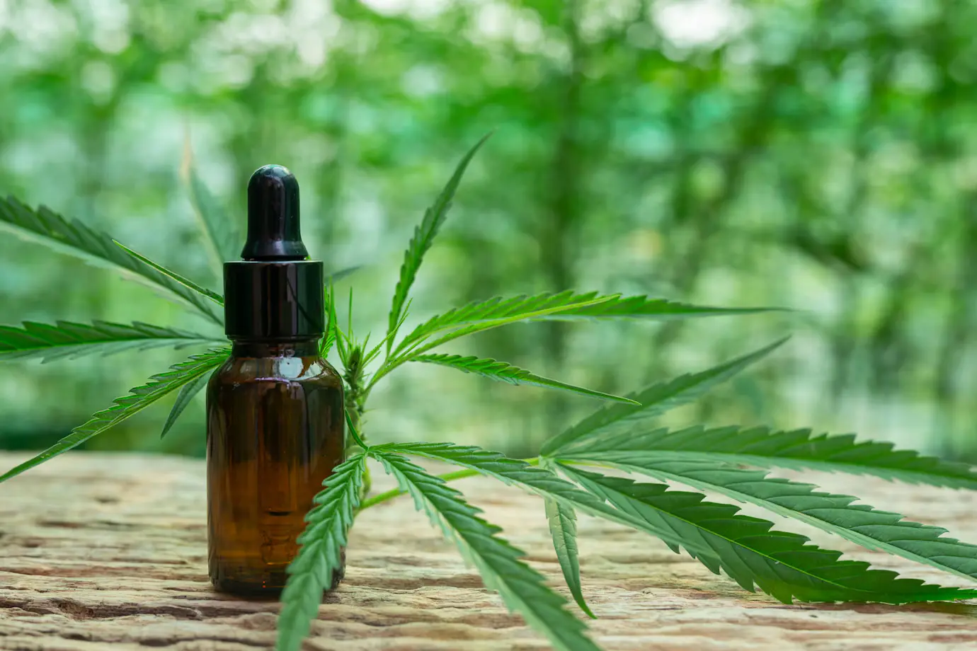 Why More People Are Choosing to Order CBD Flower Over Other CBD Products