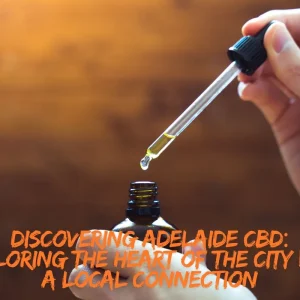 Discovering Adelaide CBD: Exploring the Heart of the City with a Local Connection