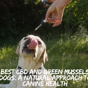 The Best CBD and Green Mussels for Dogs: A Natural Approach to Canine Health