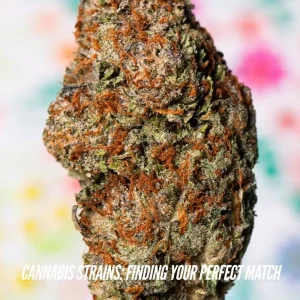 Cannabis Strains: Finding Your Perfect Match