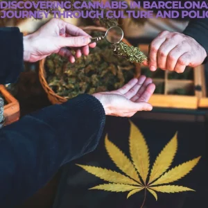 Discovering Cannabis in Barcelona: A Journey Through Culture and Policy