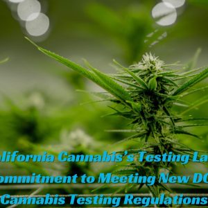 California Cannabis’s Testing Labs Commitment to Meeting New DCC Cannabis Testing Regulations