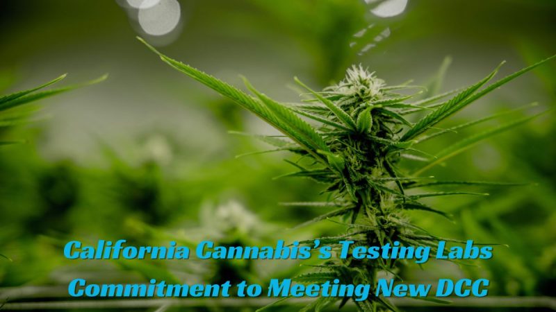 California Cannabis’s Testing Labs Commitment to Meeting New DCC Cannabis Testing Regulations