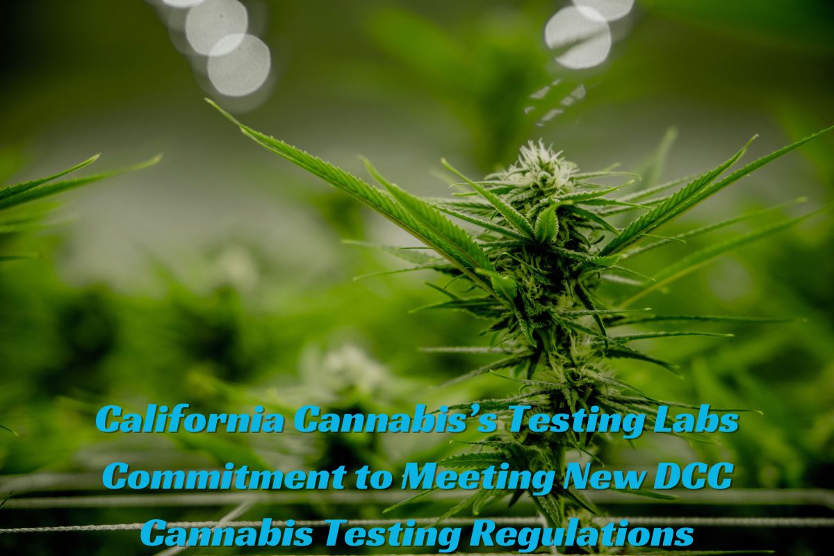 California Cannabis’s Testing Labs Commitment to Meeting New DCC Cannabis Testing Regulations