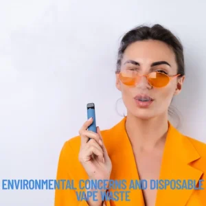 Environmental Concerns and Disposable Vape Waste